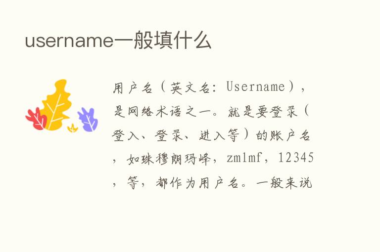 username一般填什么