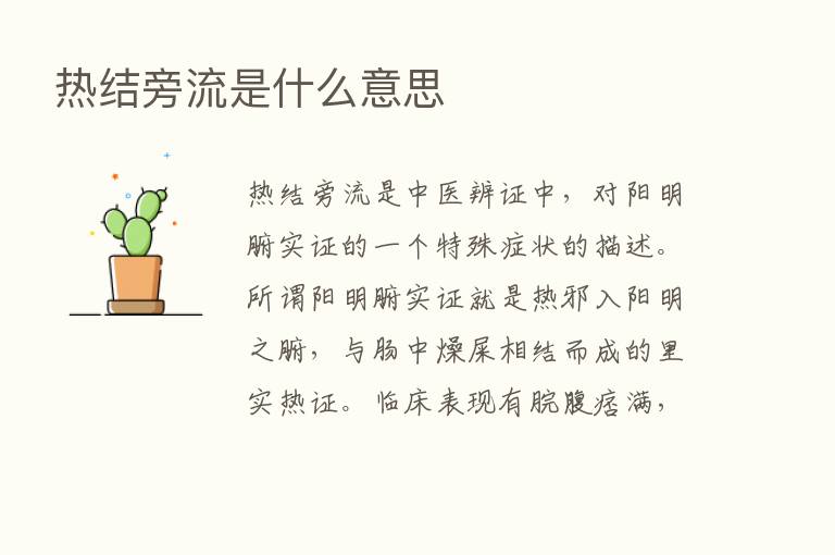 热结旁流是什么意思