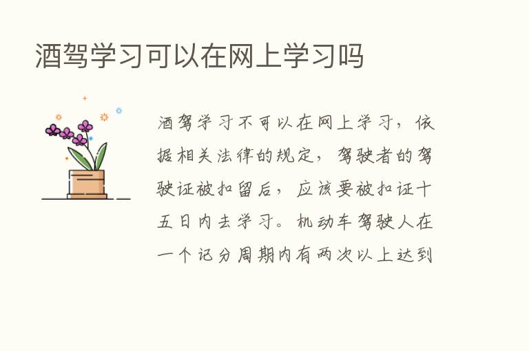 酒驾学习可以在网上学习吗