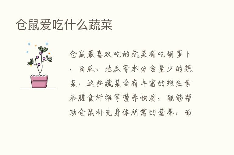 仓鼠爱吃什么蔬菜