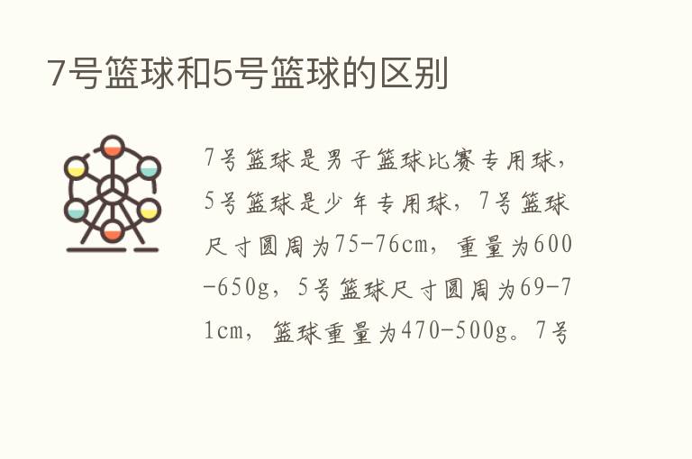 7号篮球和5号篮球的区别