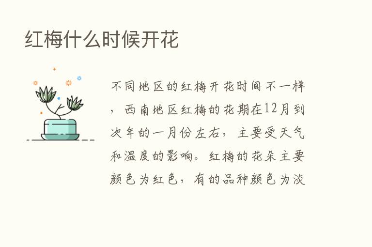 红梅什么时候开花