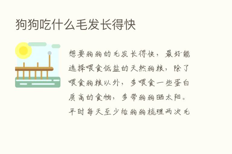 狗狗吃什么毛发长得快