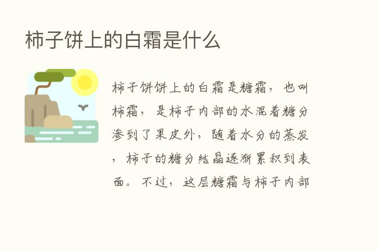 柿子饼上的白霜是什么