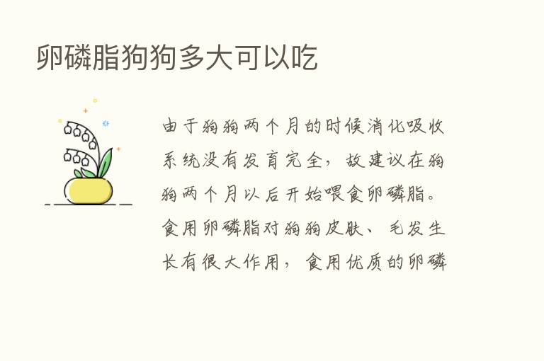 卵磷脂狗狗多大可以吃