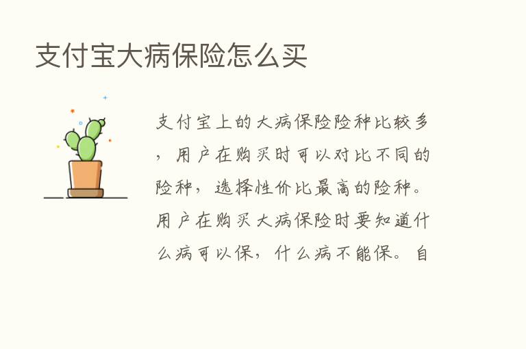 支付宝大病      怎么买