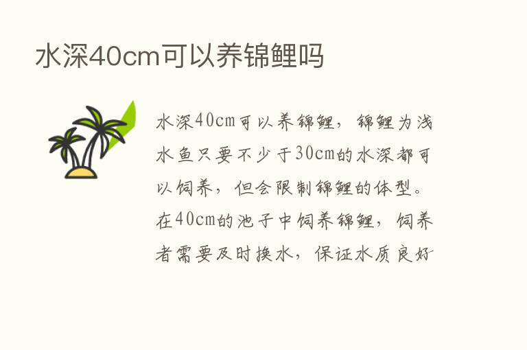 水深40cm可以养锦鲤吗