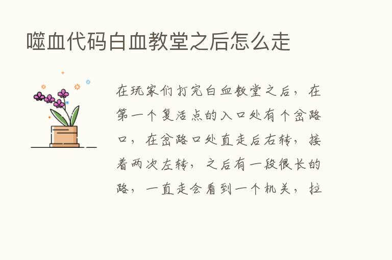 噬血代码白血教堂之后怎么走