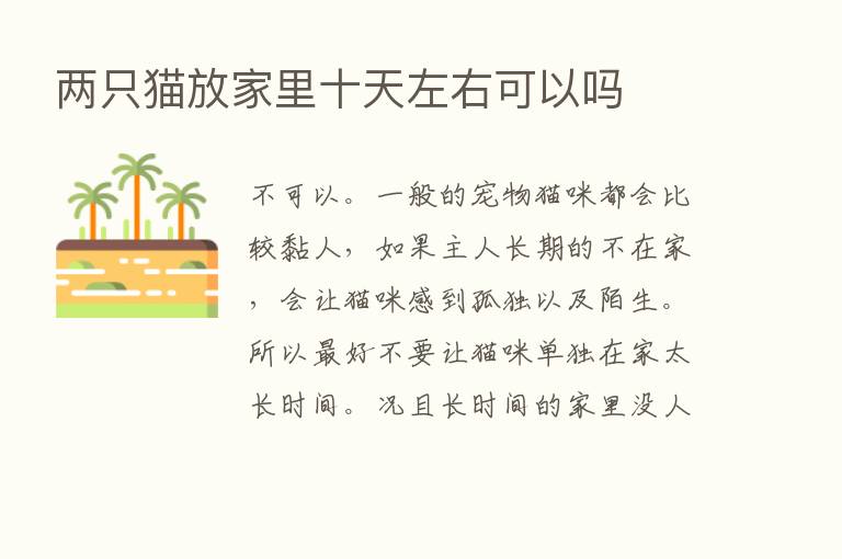 两只猫放家里十天左右可以吗