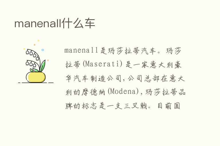 manenall什么车