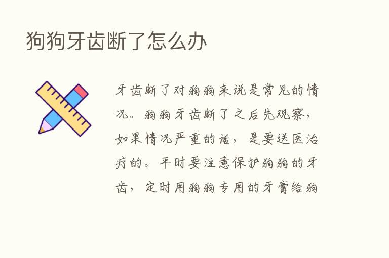 狗狗牙齿断了怎么办