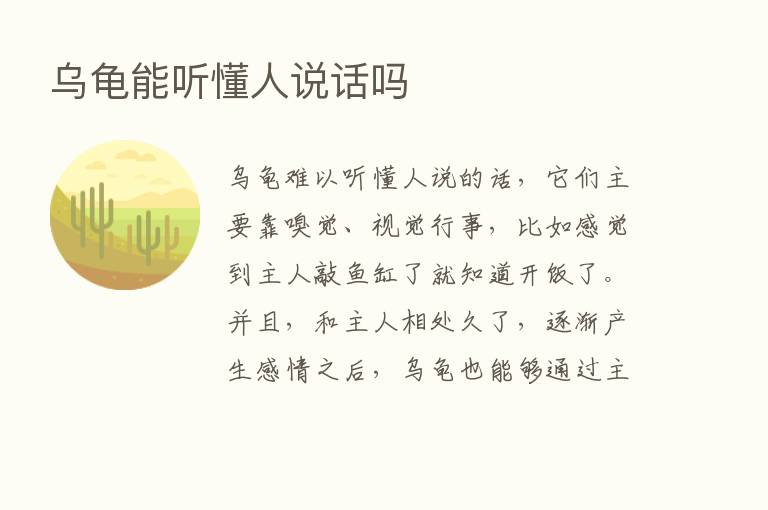 乌龟能听懂人说话吗