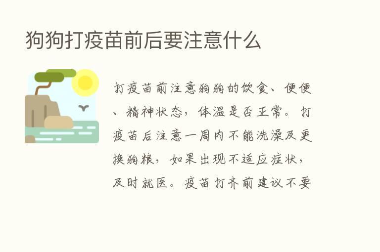 狗狗打疫苗前后要注意什么