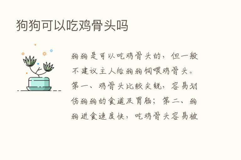 狗狗可以吃鸡骨头吗