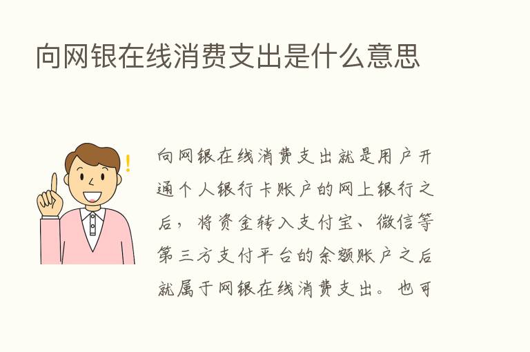 向网银在线消费支出是什么意思