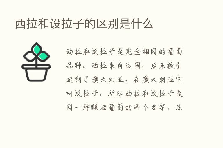 西拉和设拉子的区别是什么