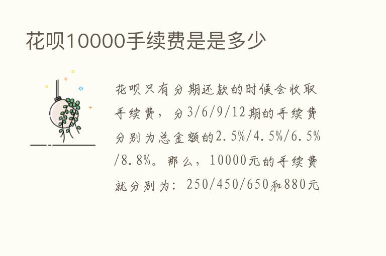 花呗10000手续费是是多少