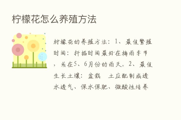 柠檬花怎么养殖方法