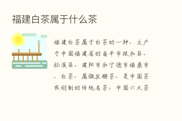 福建白茶属于什么茶