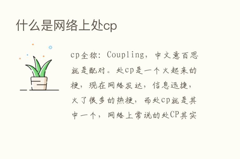 什么是网络上处cp