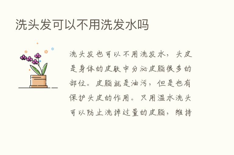 洗头发可以不用洗发水吗