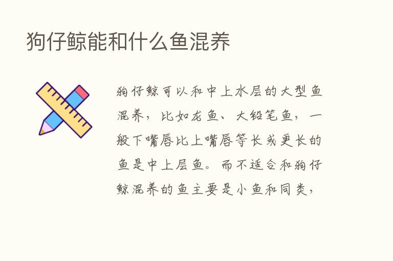 狗仔鲸能和什么鱼混养