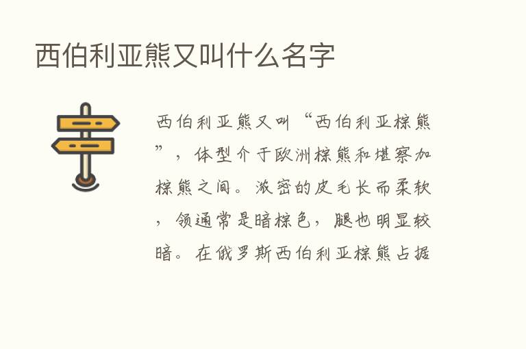 西伯利亚熊又叫什么名字