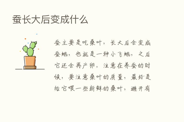 蚕长大后变成什么