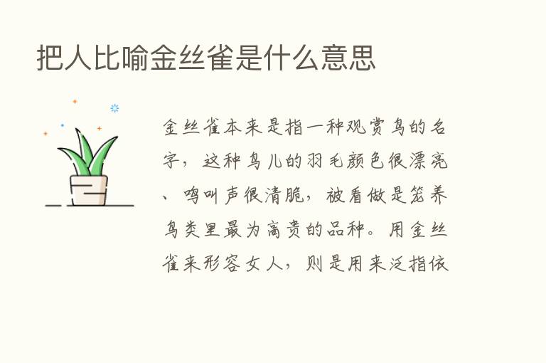 把人比喻金丝雀是什么意思