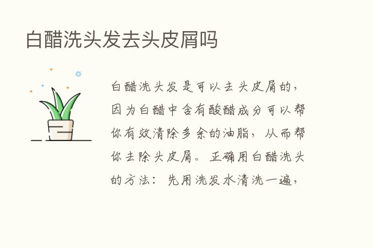 白醋洗头发去头皮屑吗