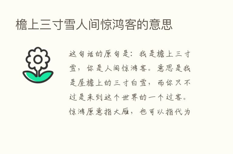 檐上三寸雪人间惊鸿客的意思