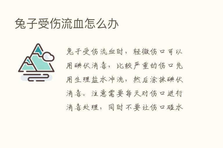 兔子受伤流血怎么办