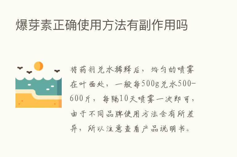 爆芽素正确使用方法有副作用吗