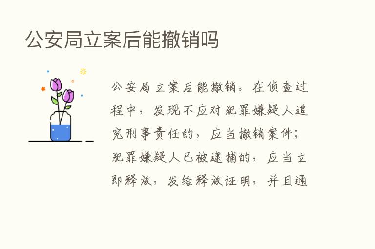 公安局立案后能撤销吗