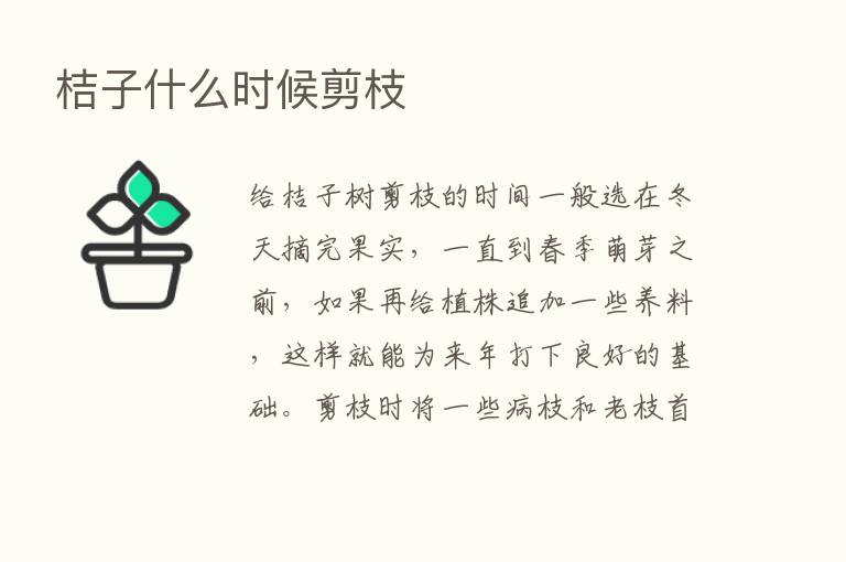 桔子什么时候剪枝