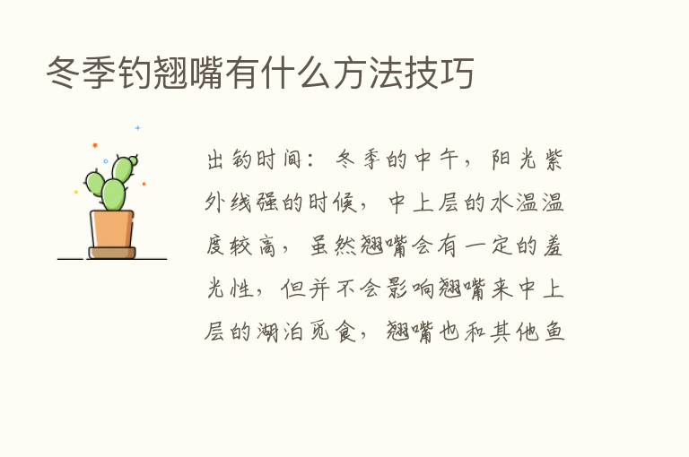 冬季钓翘嘴有什么方法技巧