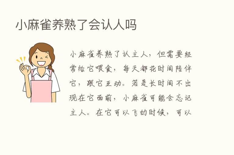 小麻雀养熟了会认人吗