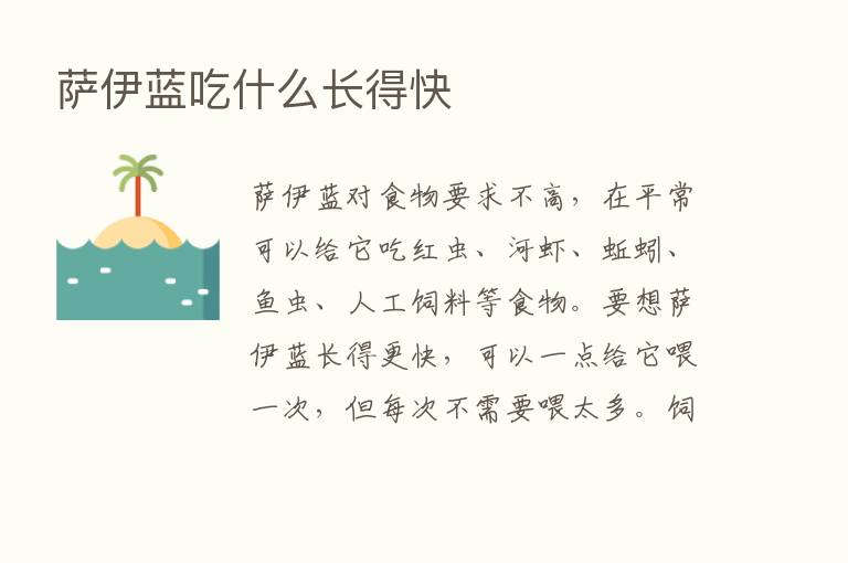 萨伊蓝吃什么长得快