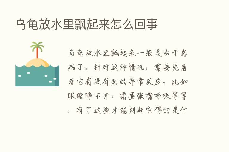 乌龟放水里飘起来怎么回事