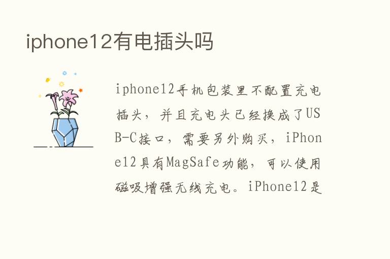 iphone12有电插头吗