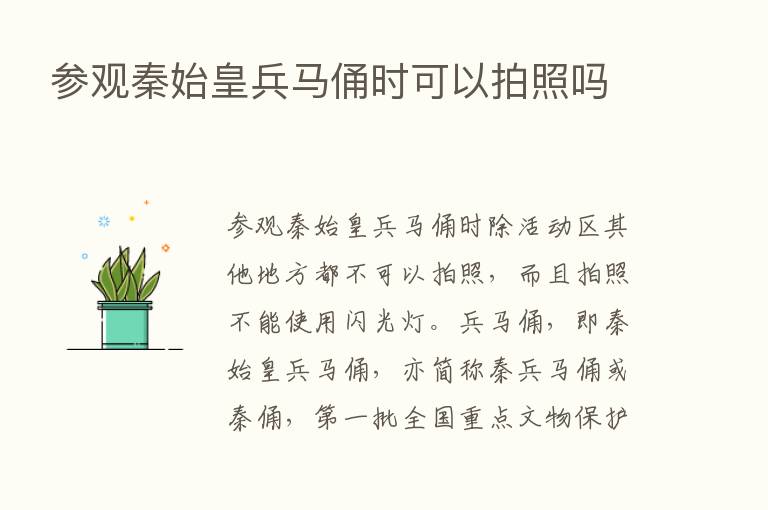 参观秦始皇兵马俑时可以拍照吗