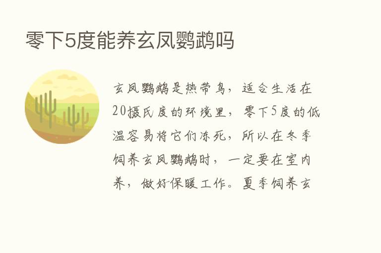 零下5度能养玄凤鹦鹉吗