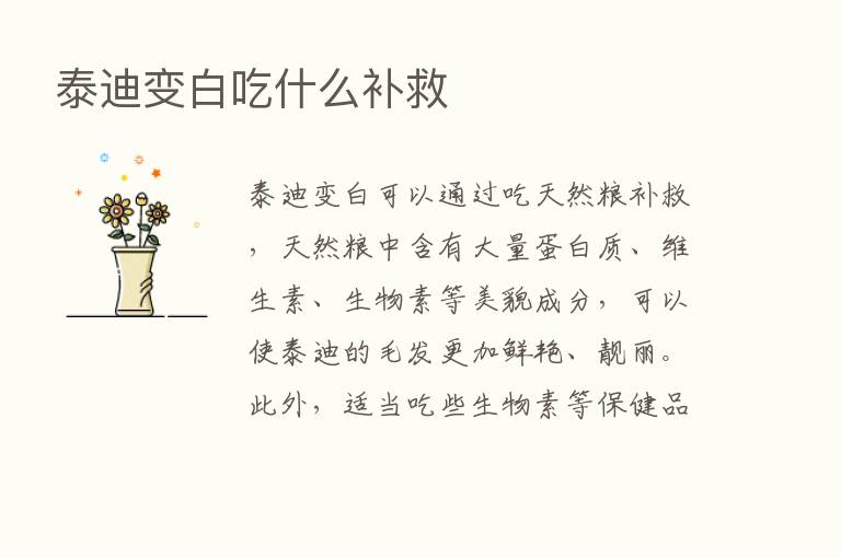 泰迪变白吃什么补救