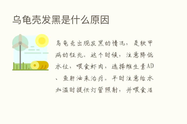 乌龟壳发黑是什么原因