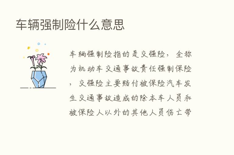 车辆强制险什么意思