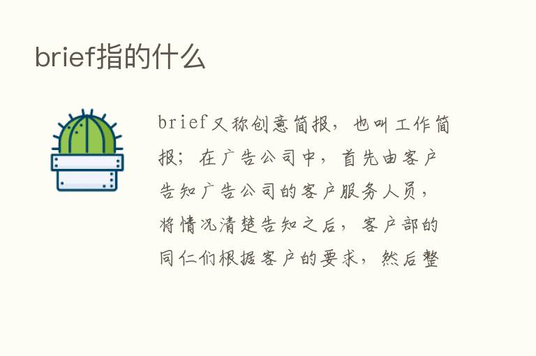 brief指的什么