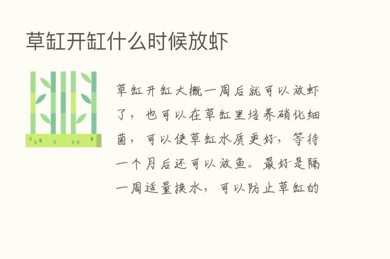 草缸开缸什么时候放虾