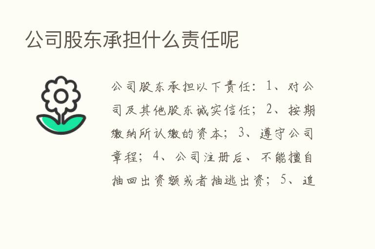 公司股东承担什么责任呢