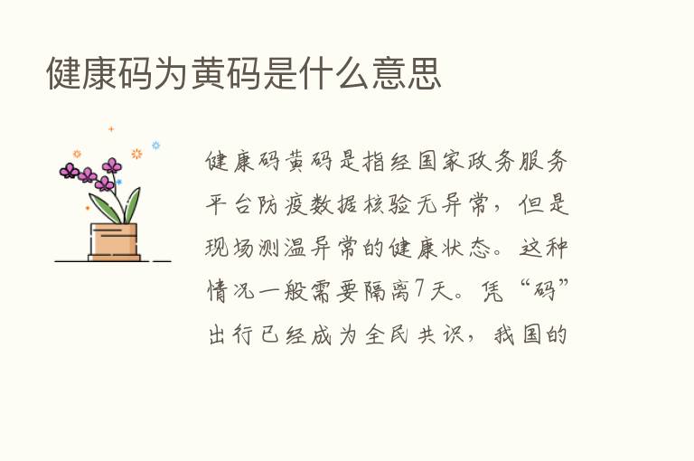 健康码为黄码是什么意思