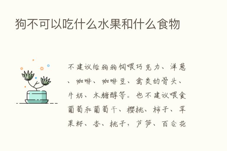 狗不可以吃什么水果和什么食物